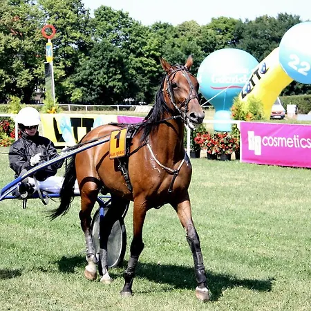 Sopocka Bryza 公寓 *