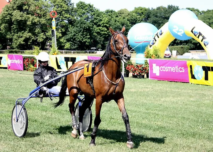 Sopocka Bryza Apartamento *